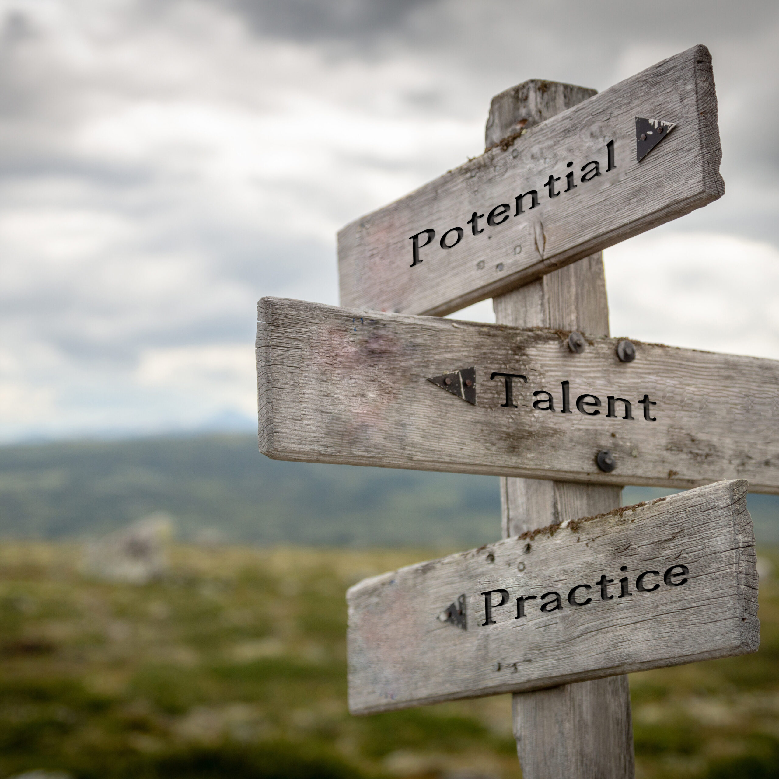 Trouver sa voie grâce au coaching.